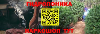 гашик Ликино-Дулёво