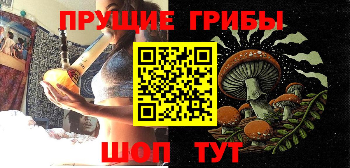 Ишим  Галлюциногенные грибы Magic Shrooms  Вход с VPN  купить наркоту  Псилоцибиновые грибы мицелий 