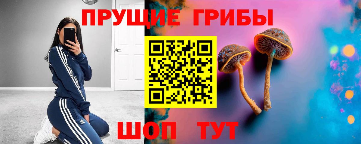 Псилоцибиновые грибы прущие грибы Ишим